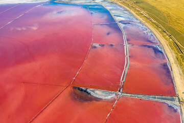 aerial view to the curved shore and lines of wooden trunks in pink water of salt lake