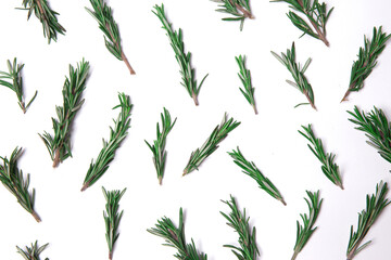 cute rosemary pattern on white background.