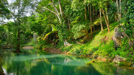 Fototapeta na wymiar Beautiful emerald green natural lake in Thailand tropical rainforest lush colour of water