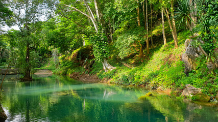 Beautiful emerald green natural lake in Thailand tropical rainforest lush colour of water