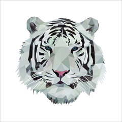 Low Poly Art White tiger	
