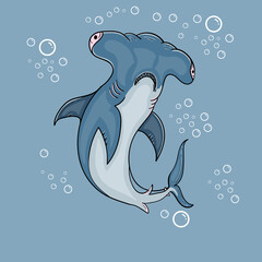 hammerhead shark vector illustration