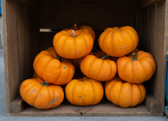 Pumpkins for sale in a local market