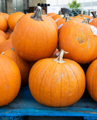 Pumpkins for sale in a local market