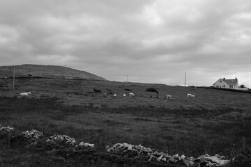 Countryside Near Silver Strand, Mayo, Ireland © Francesco