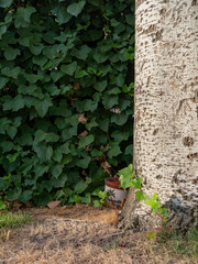 Peaceful and quiet corner of a garden