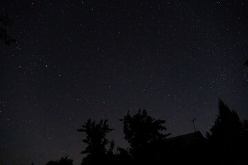 Obraz premium summer night starry sky