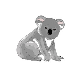 Koala bear