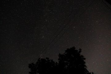 summer night starry sky