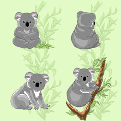 Fototapeta premium Koala bear pattern