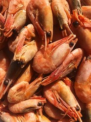 Cooked shrimp on a white plate macro