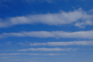 White feather clouds against the blue sky. Striped sky. Background.