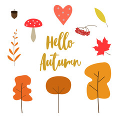 Colourful set of autumn elements