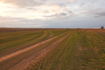 Two diverging dirt roads. A fork in two roads in a field in the late evening.