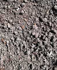 texture of dry grey soil with small stones