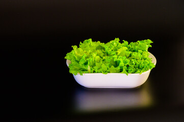 Green salad in a deep white plate. Black background. Reflection of the plate with salad on the surface.