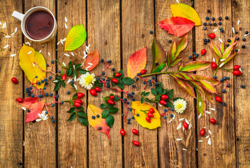 Cup of hot chocolate,leaves, rose hips, flowers, wild grapes on a wooden table