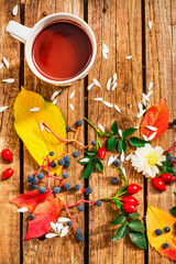 Cup of hot chocolate,leaves, rose hips, flowers, wild grapes on a wooden table