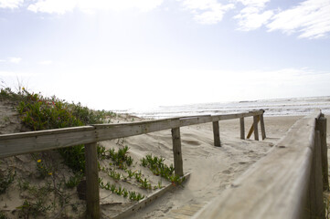 Fototapeta na wymiar Access to Xangri-la beach in Brazil