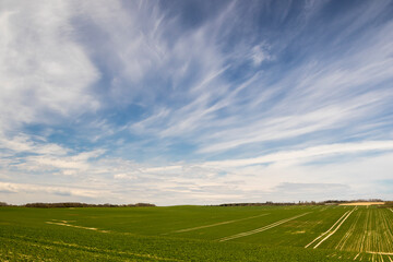 Fototapeta na wymiar Rural landscape at spring, nature background