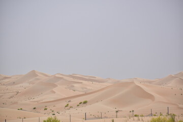 Landscape of sand dune and grass
