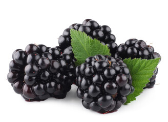 Blackberries isolated on white background. Macro