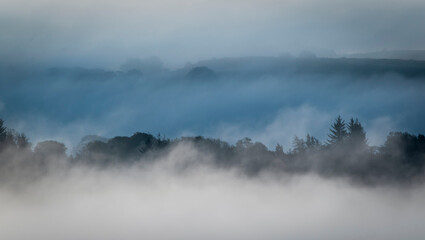 Fog, Lochwinnoch, Renfrewshire, Scotland,UK .
