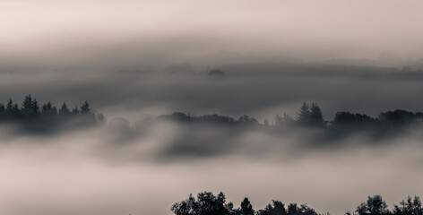 Fog, Lochwinnoch, Renfrewshire , Scotland, UK   .
