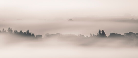 Fog, Lochwinnoch,  Renfrewshire, Scotland , UK   .