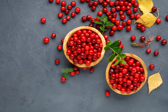 Red wild forest berry - lingonberry or cowberry. Top view.