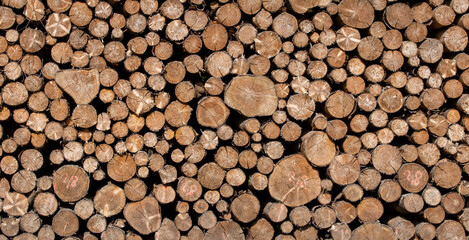 stack of wood - backgrounds of timbers