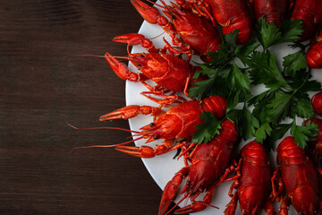 Crayfish on a plate with herbs