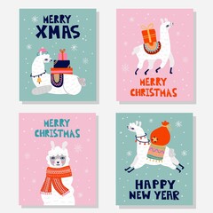 Christmas llama postcard set. Winter white llama with present gift boxes on snowy background, merry xmas happy new year lettering, holiday animal poster in hand drawn cartoon collection vector style