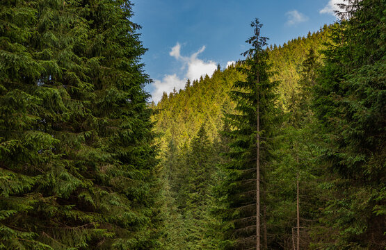 Tatra Mountains