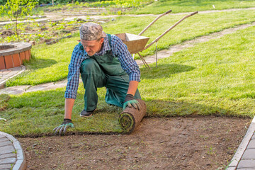 Natural Grass Turf Professional Installer. Gardener Installing Natural Grass Turfs Creating...