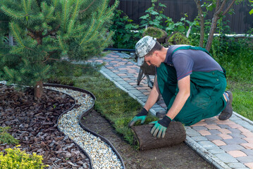 Landscape Gardener Laying Turf For New Lawn - obrazy, fototapety, plakaty