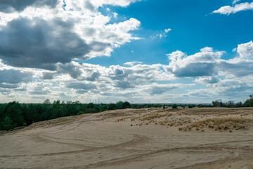 Shifting sand dune at former military training area Jueterbog