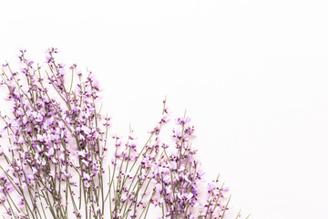 Naklejka premium Flowers composition. Pink flowers on pink background. Easter, spring concept. Greeting card.