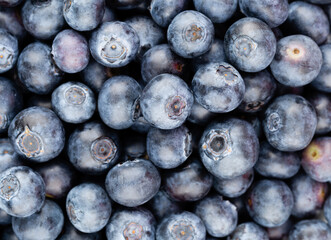 Fresh blueberry background. Texture blueberry berries close up.