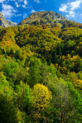 Triglav National Park, Municipality of Tolmin, Slovenia, Europe