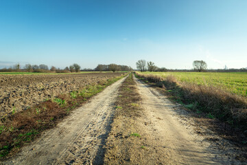 Fototapeta na wymiar A sandy road among the fields towards the horizon