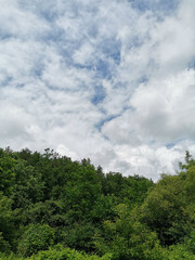 Cloudy sky with forest