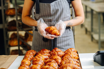 Worker placing freshly baked crispy golden croissants on a tray to cool