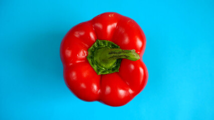 big red bell pepper with a green tail on a blue background top view.  red seasonal vitamin-rich vegetables