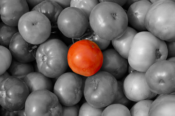 Cesto de tomates de la huerta en blanco y negro