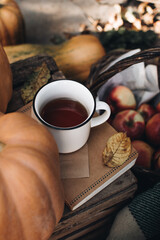 Fall styled composition. Autumn breakfast still life. Scandinavian hygge concept. Morning concept. Cozy autumn scene with pumpkins and apples. Flat lay. Home decor. Thanksgiving and Halloween concept.