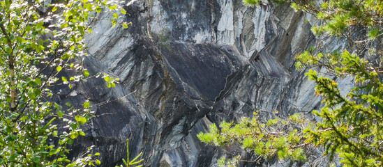 Marble rock cliff edge with trees