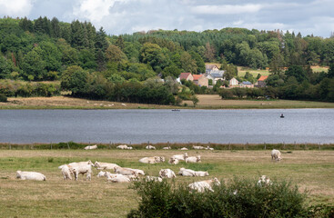 View of Saint-Agnan lake located in the protected area of the Parc naturel régional du Morvan, Nièvre department, FRANCE.