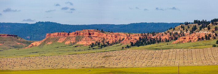 Wyoming hay field with red cliffs in the background