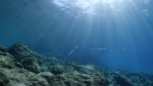 air bubbles underwater in blue water moving strange some in focus some out of focus making nive background shapes with sun rays and sun shine